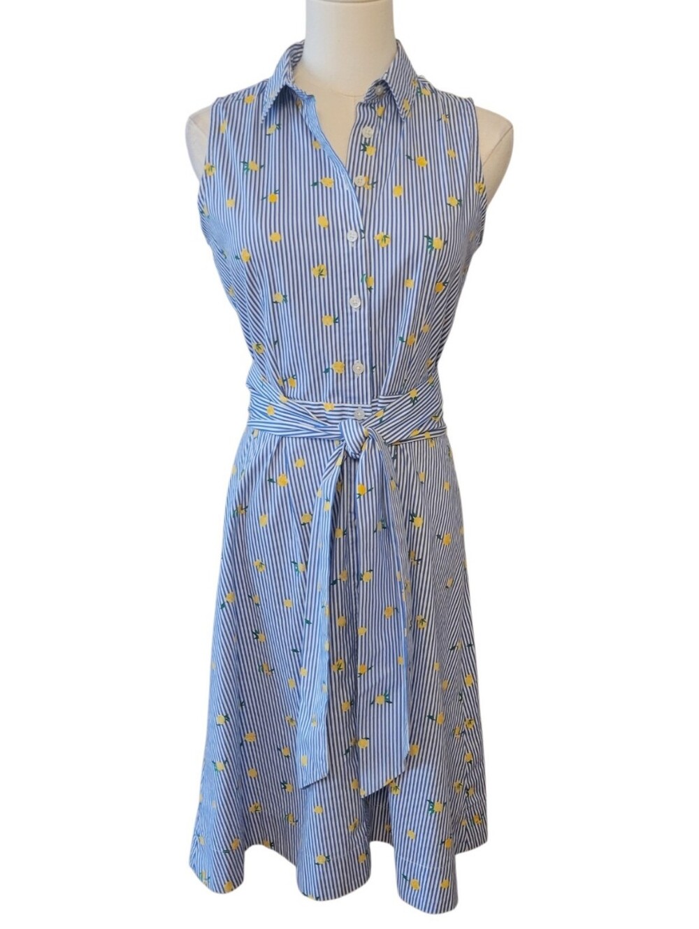 J. Crew Blue & White Stripe Lemon Print Shirtdress Size 2 - Picture 2 of 6